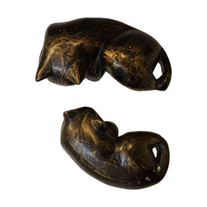 Set van 2 liggende bronzen katjes van Hari uit Maastricht. De sierlijke katjes van 11 en 8 cm liggen prachtig op de voorkant van een plank, kastje of ander meubel. Een must voor elke kattenliefhebber.
